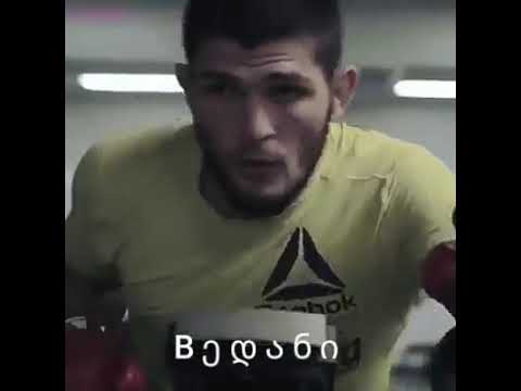 xabibi nurmagomedov song ( bedani)